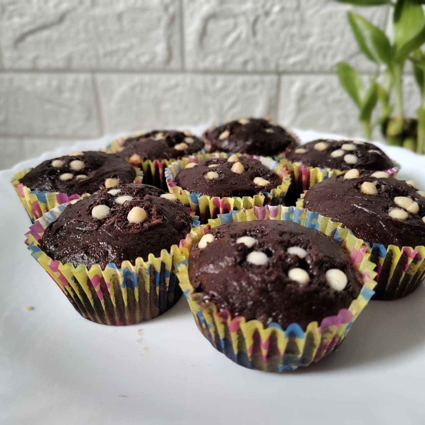 Chocolate Chip Muffins